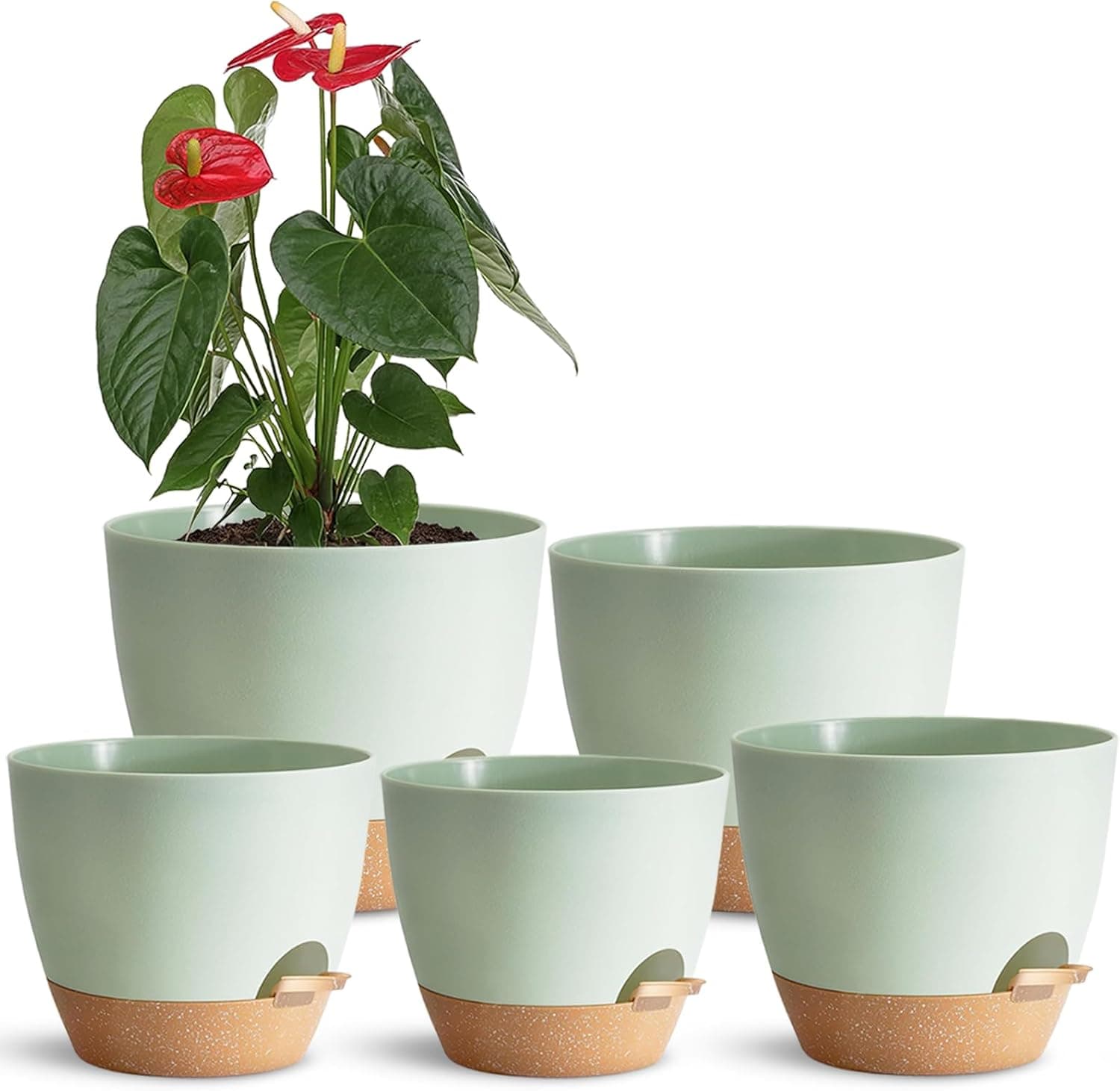 Self-Watering Planters with Water Level Indicator
