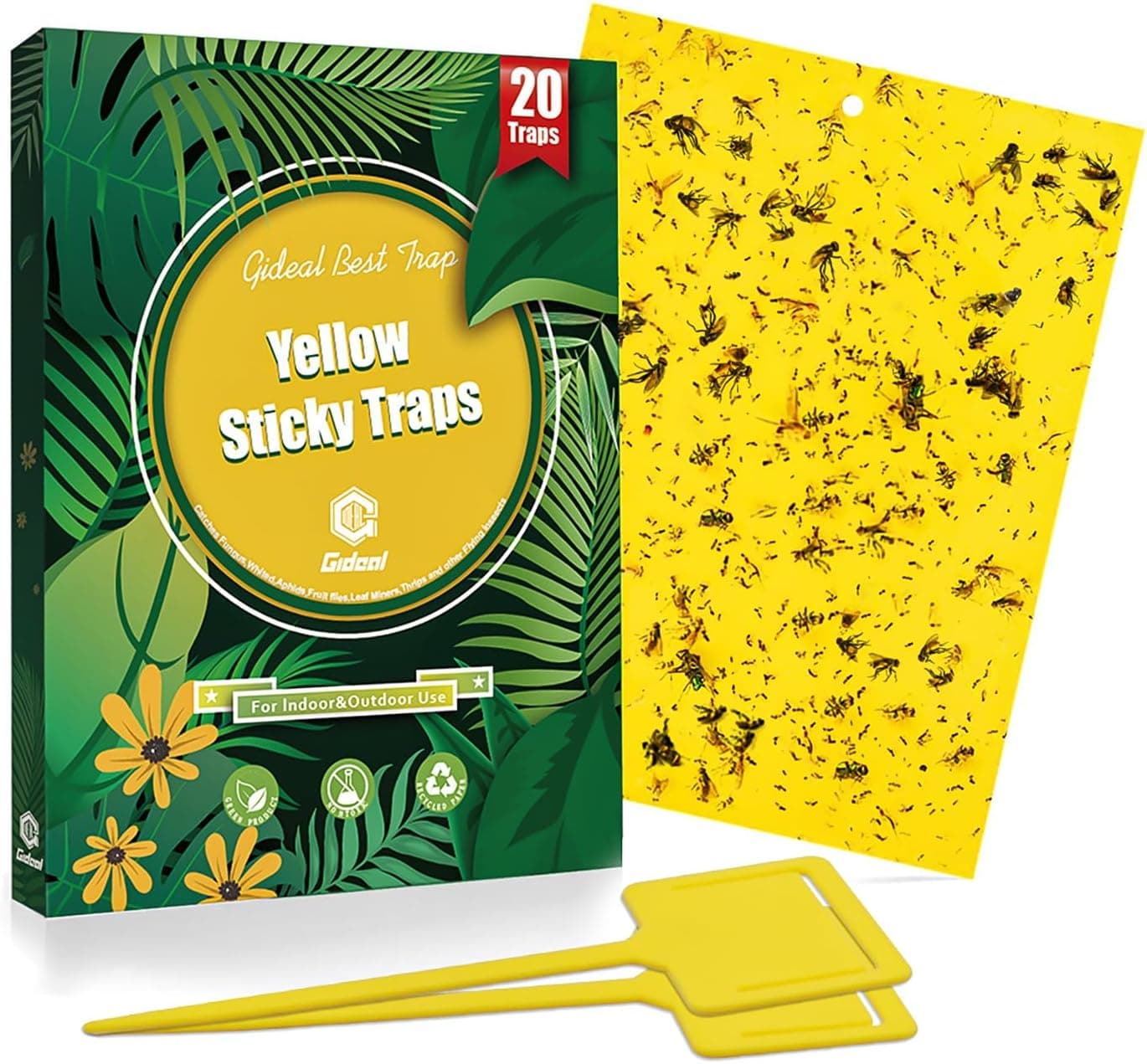 Yellow Sticky Fungus Gnat Traps 30-Pack