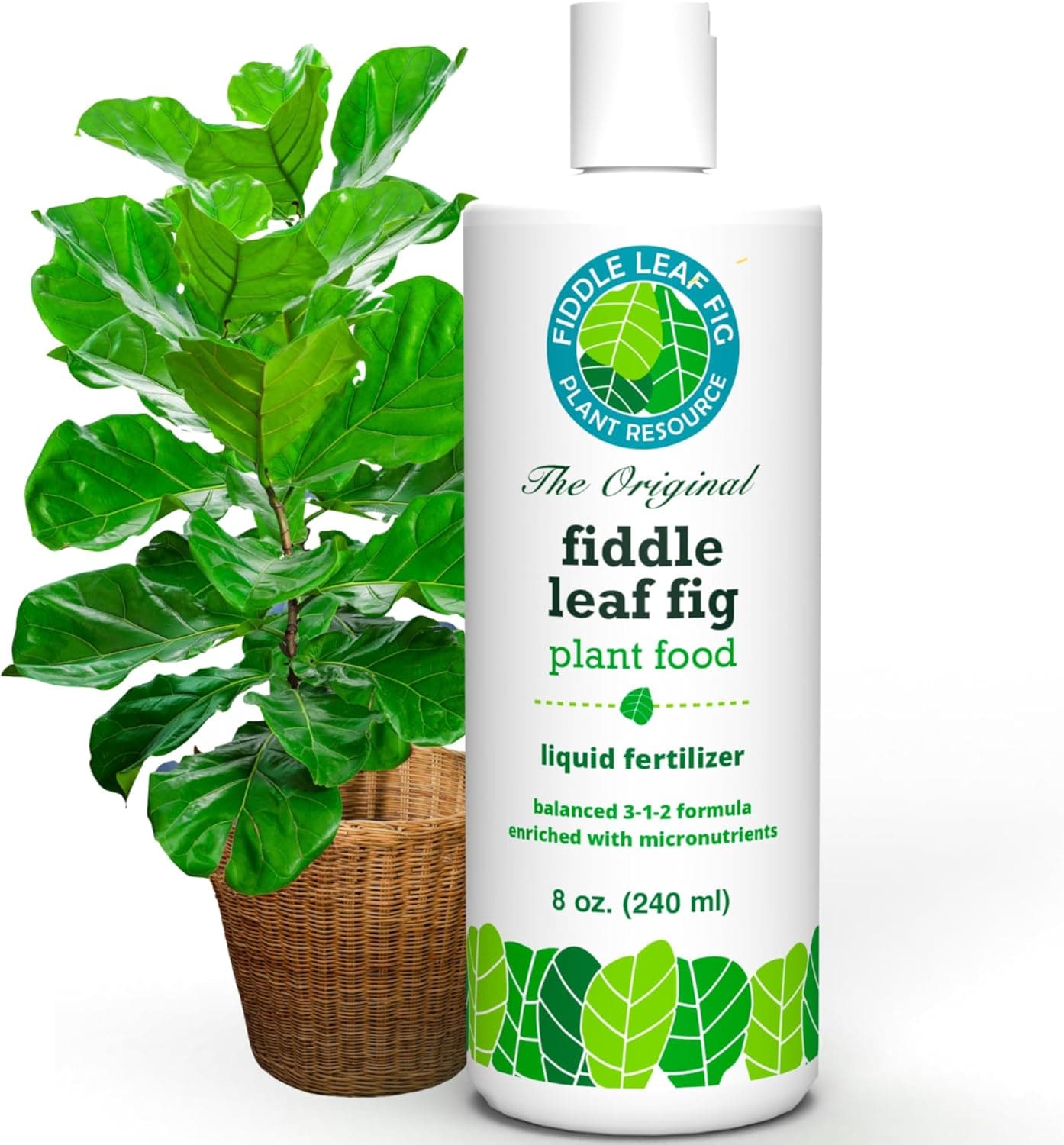 Fiddle Leaf Fig Plant Resource Fertilizer