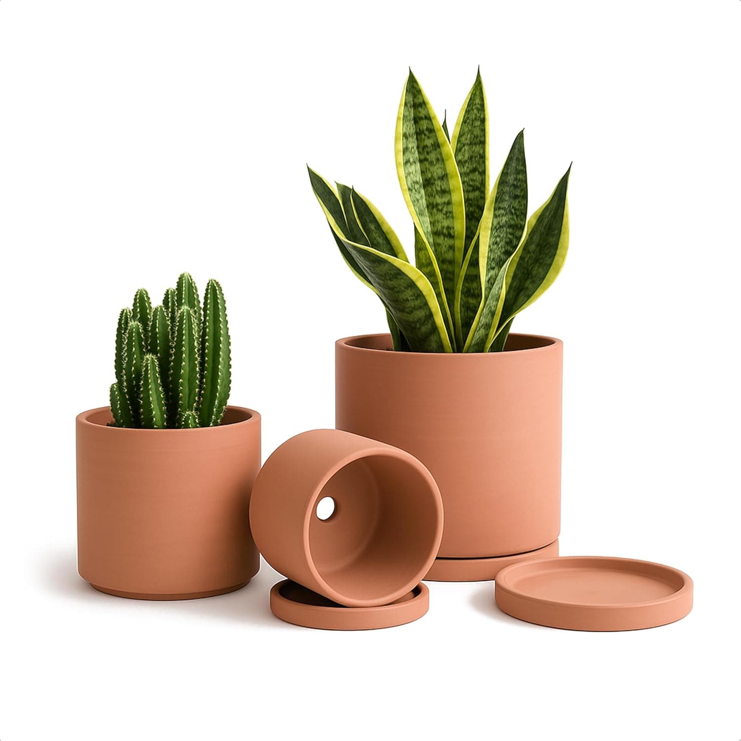 D'vine Dev Terracotta Pots with Drainage & Saucer Set